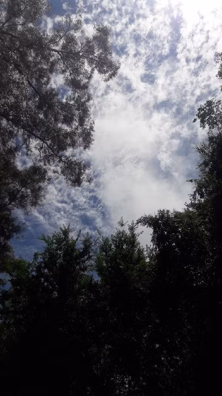 Autocamping Playa Dorada