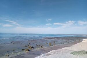 Bahía Creek – Refugio de Mar