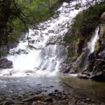 Bahía el Torito y Hostal Turístico