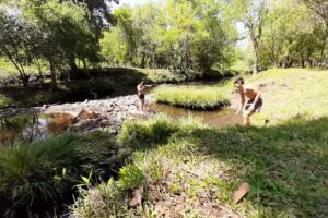 Balneario Arroyo del Medio