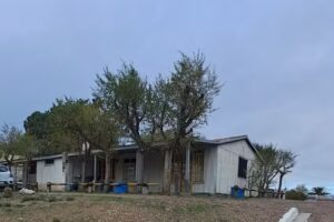 Balneario Los Tamariscos