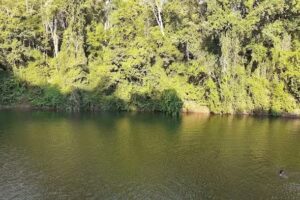 Balneario municipal El Bonito