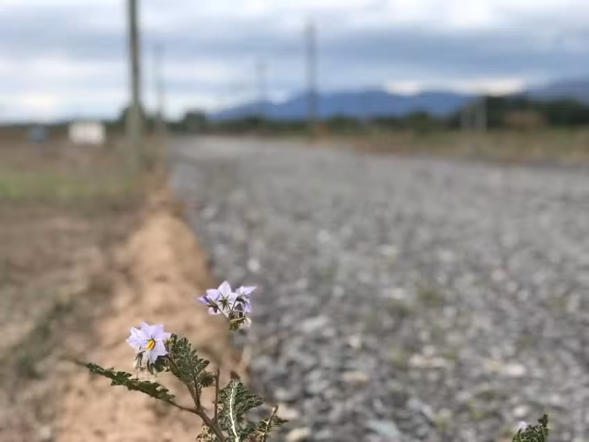 Barrio El Portal de San Agustín