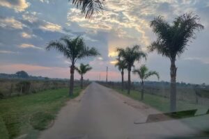 Barrio Los Viejos Ombúes