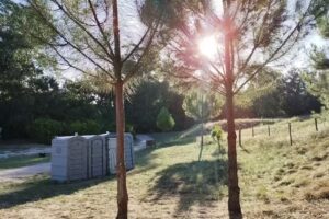 Base de campamento Municipal