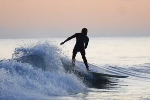 Bisonte Cabañas de Mar