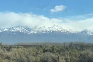 Black Door Apartmets