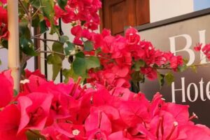 Blanc Hotel Boutique