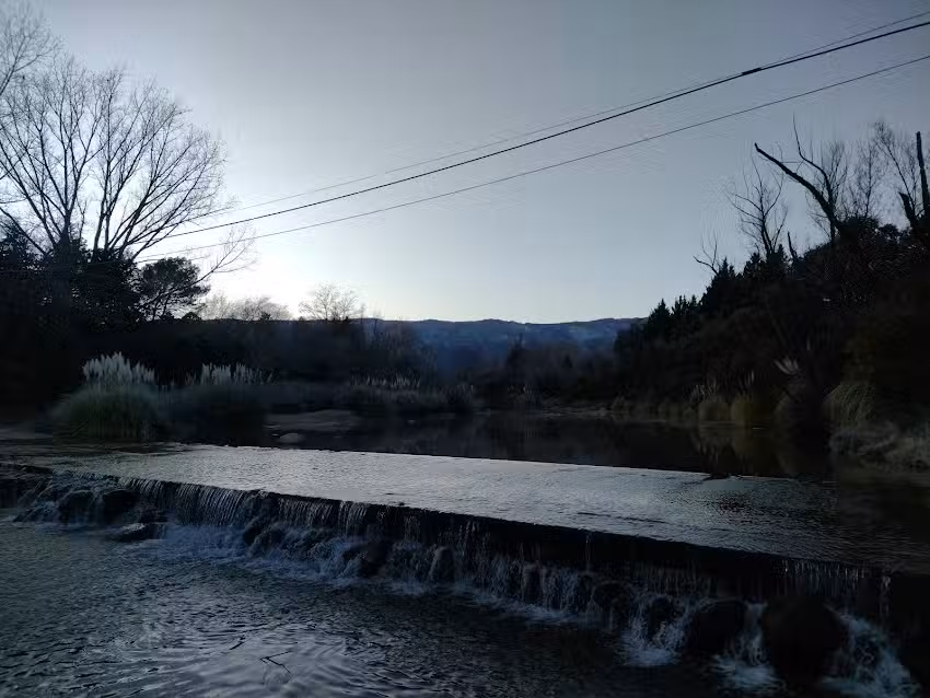 Bosque Y Rio Cabañas