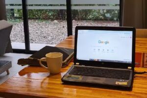 Bosques de Mayo Departamento Malbec