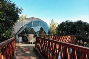 Brisas del Campo Glamping & Eventos