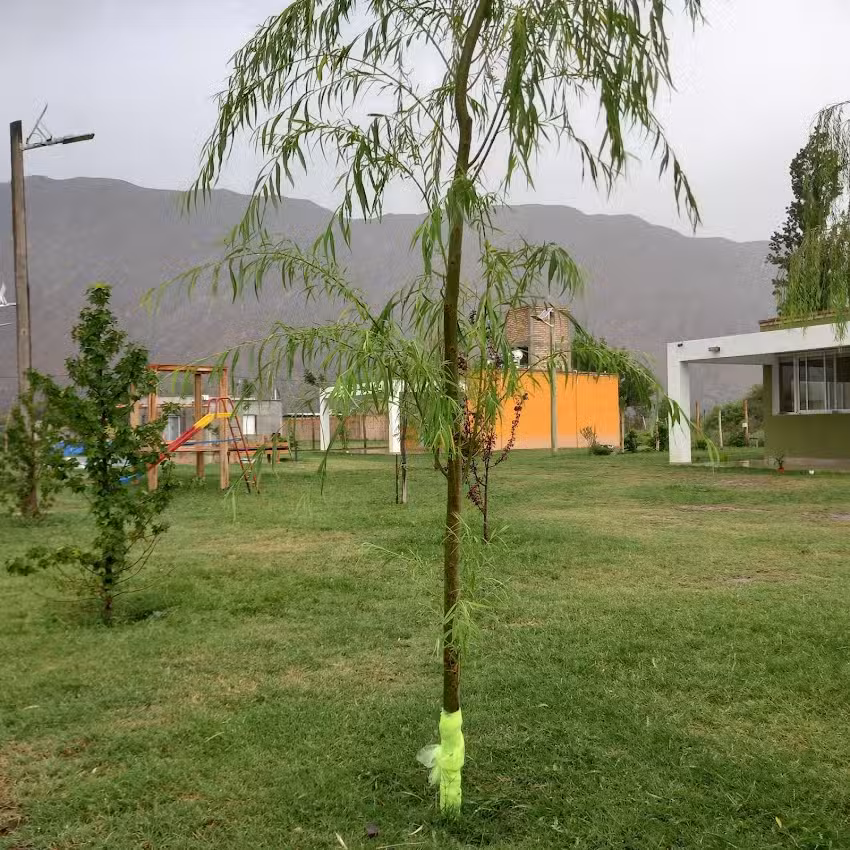 Buenos Momentos Alojamiento