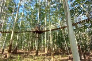 Bungalows Colonna Matias