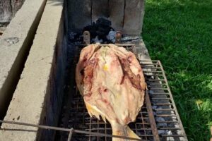 Bungalows Don Heraldo