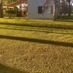 Bungalows La Estancia