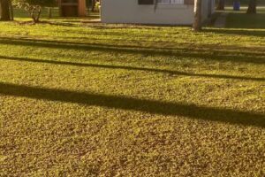 Bungalows La Estancia