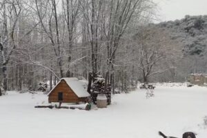 Cabaña bosque de acacias