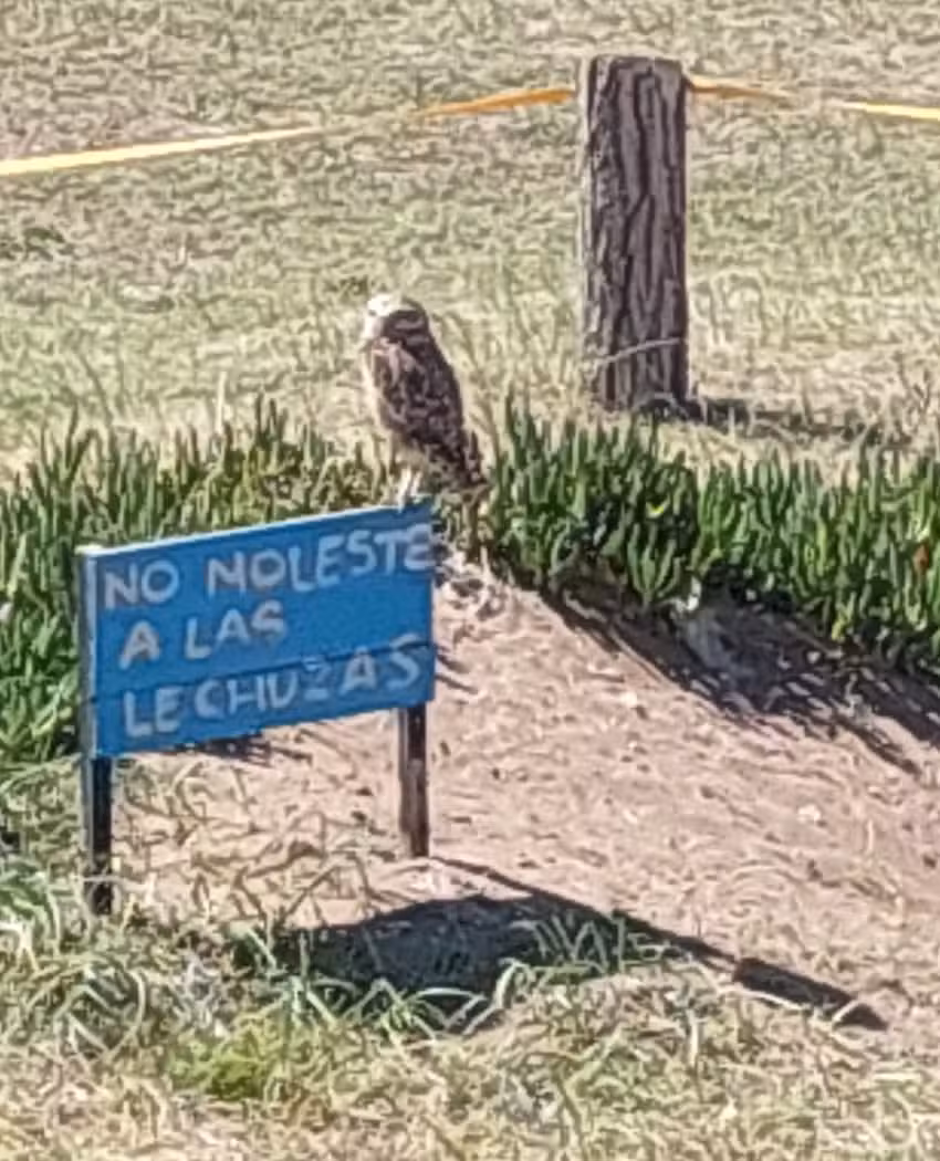 Cabaña Bosque Viejo