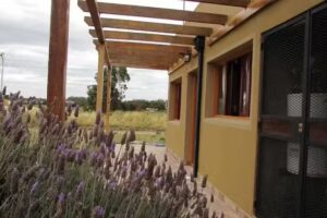 Cabaña / Casa el Rengo