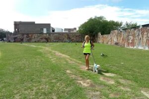 Cabaña Claro de Luna