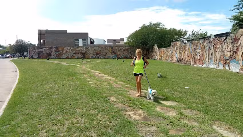 Cabaña Claro de Luna