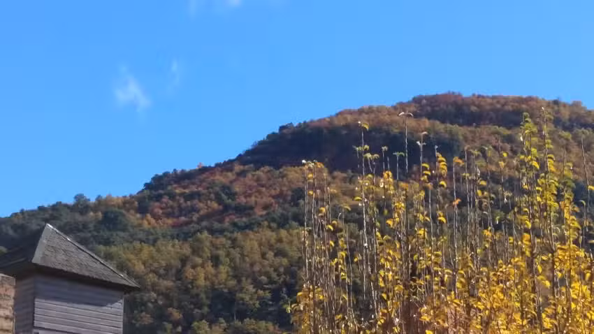 Cabaña Cuatro Estaciones San Martín de los Andes