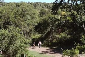 Cabaña de montaña Runakay