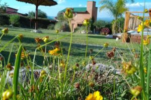 Cabaña De Valentino