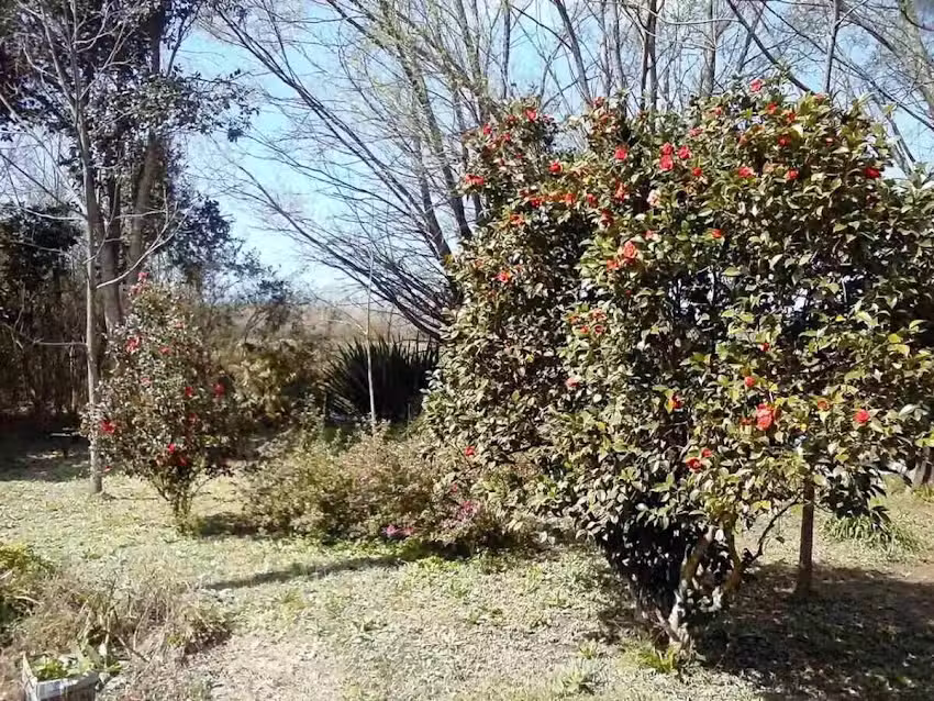 Cabaña del Duraznito