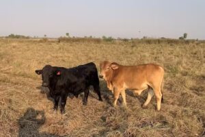 Cabaña Don Cacho – Est.Don Florencio