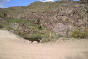 Cabaña “Doña Pina”