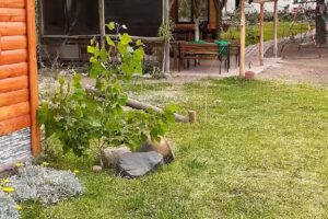 cabaña El Abuelo Alfredo