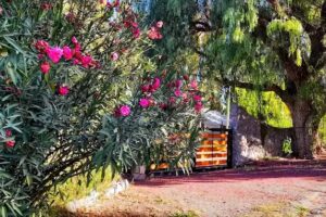 Cabaña El Cañadón