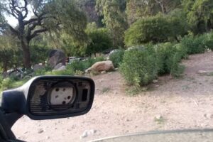 Cabaña El paisaje Puntano