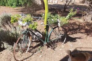 Cabaña El Quebrachal