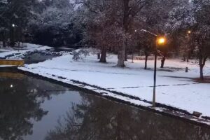 Cabaña Estrella de Mar