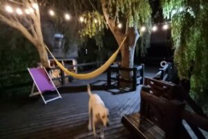 Cabaña Isla Santiago