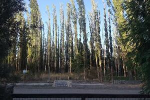 Cabaña “La Alameda”