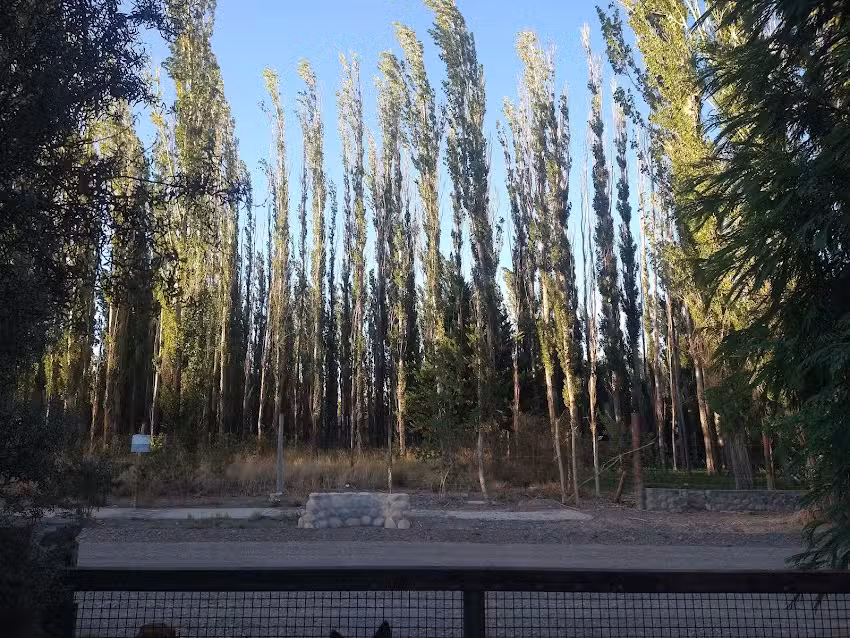 Cabaña “La Alameda”