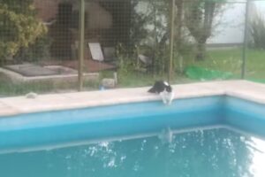 Cabaña La Angélica