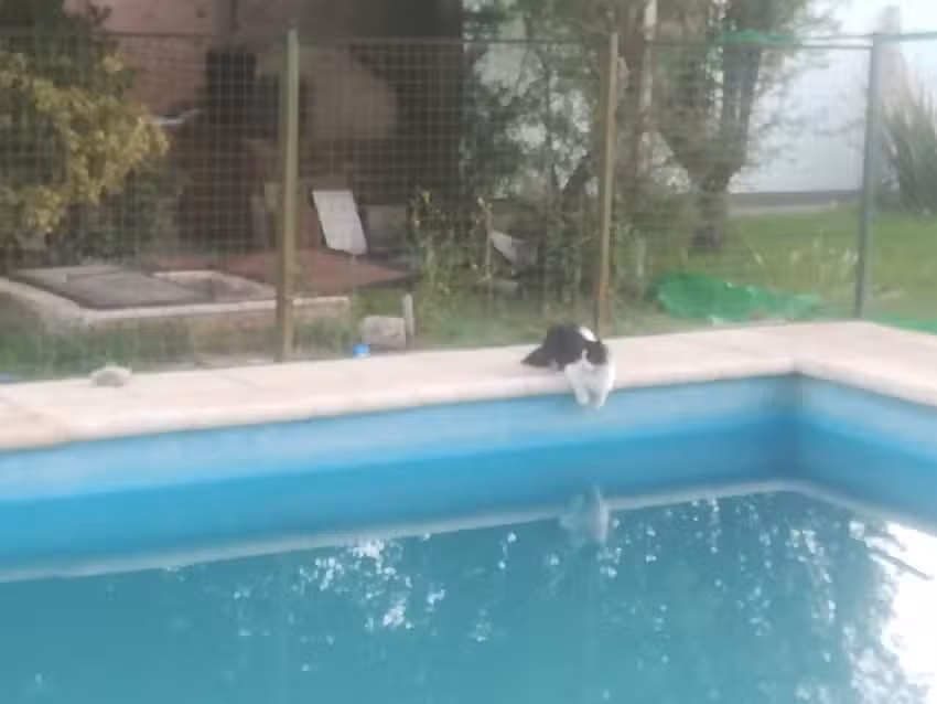 Cabaña La Angélica