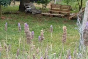 Cabaña La Calandria, Arroyo Leyes, Santa Fe