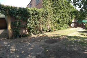 Cabaña “La casita del árbol”