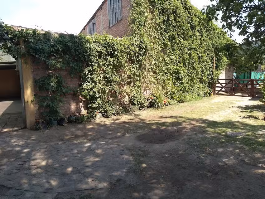 Cabaña “La casita del árbol”