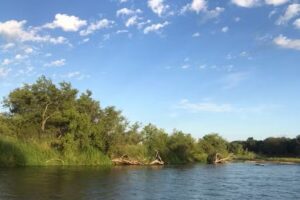 Cabaña “La Costera”