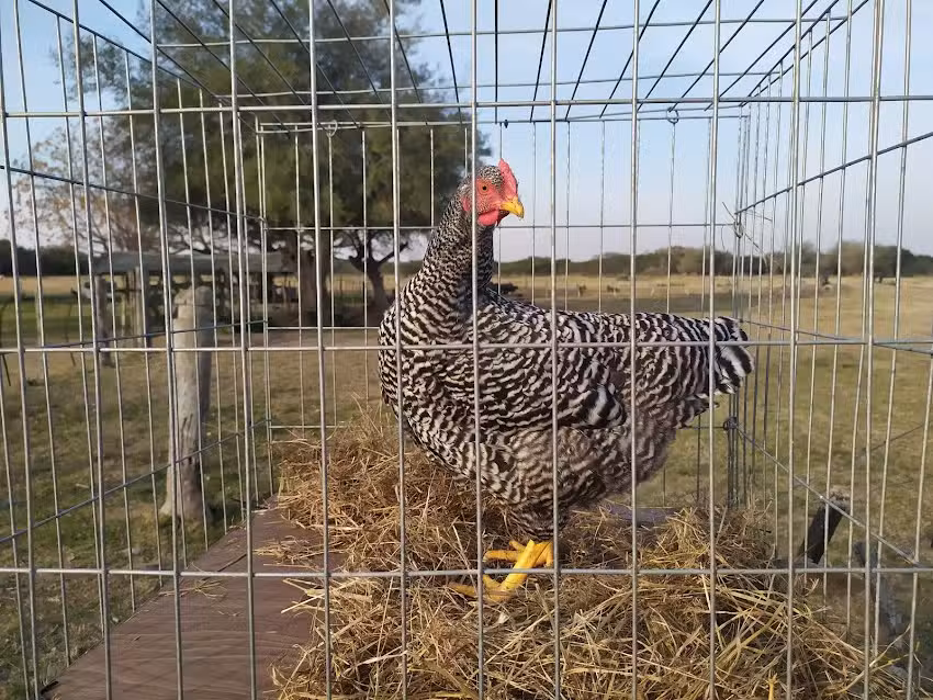 Cabaña “La Florencia”