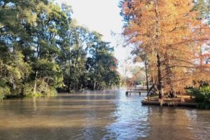 Cabaña La Gringa Espera 900