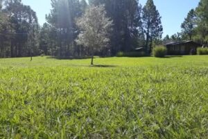 Cabaña La Guillermina