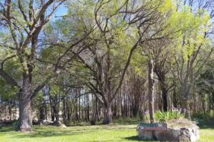 Cabaña La Vieja Esquina