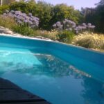 Cabaña Las Cortaderas